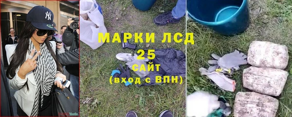 гашик Балахна