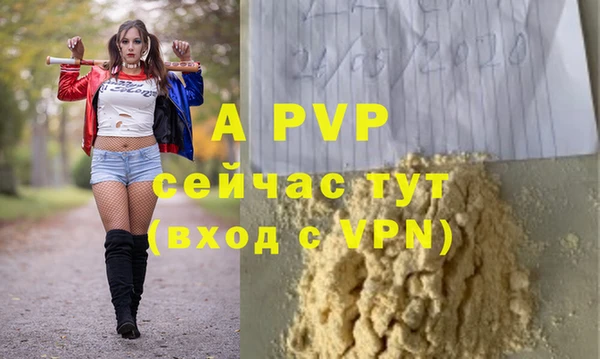 гашик Балахна